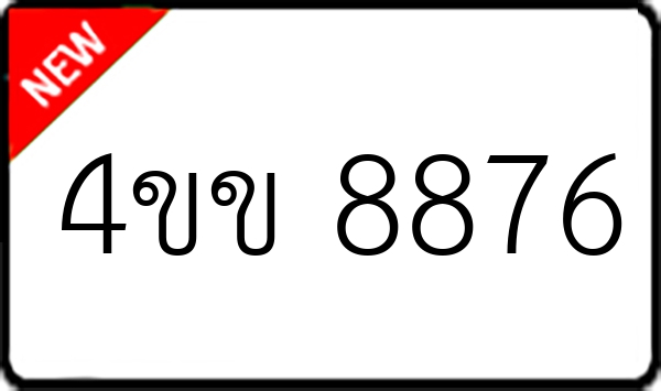 4ขข 8876